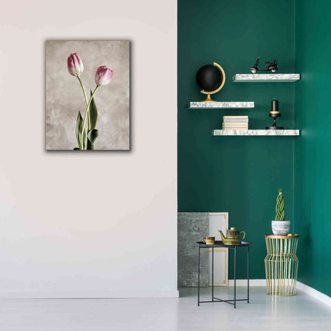 Image of 'Fresh Tulips IV' by Debra Van Swearingen, Canvas Wall Art,26 x 34