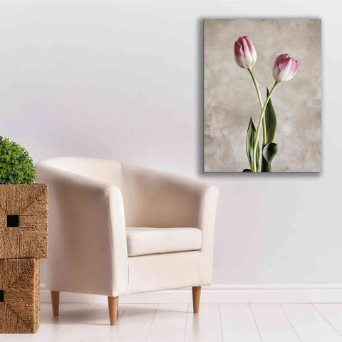 Image of 'Fresh Tulips IV' by Debra Van Swearingen, Canvas Wall Art,26 x 34