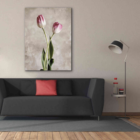 Image of 'Fresh Tulips IV' by Debra Van Swearingen, Canvas Wall Art,40 x 54