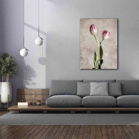 Image of 'Fresh Tulips IV' by Debra Van Swearingen, Canvas Wall Art,40 x 54