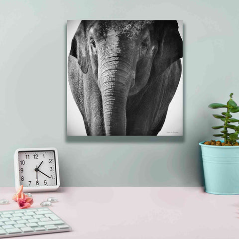 Image of 'Elephant I' by Debra Van Swearingen, Canvas Wall Art,12 x 12