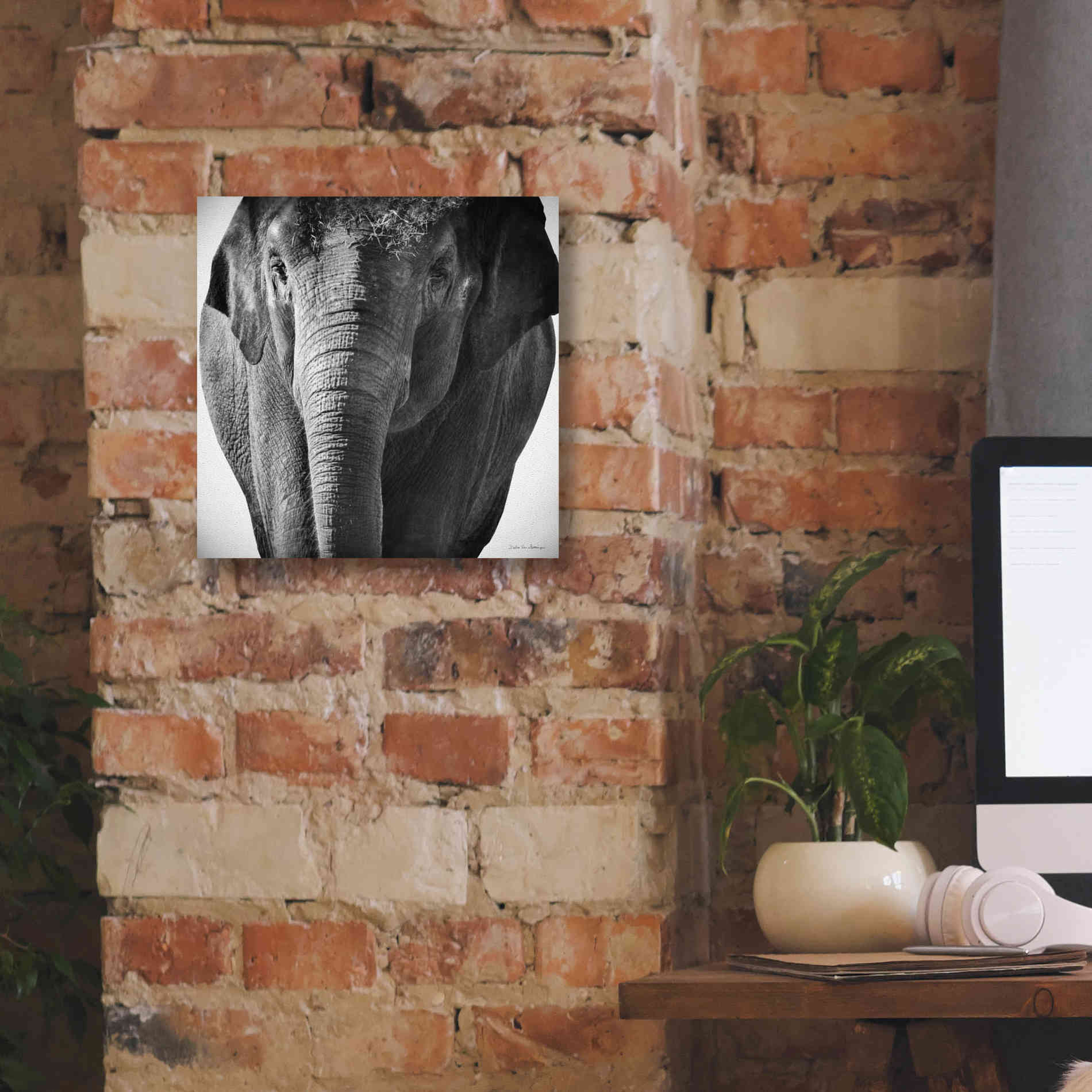 'Elephant I' by Debra Van Swearingen, Canvas Wall Art,12 x 12