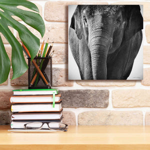 'Elephant I' by Debra Van Swearingen, Canvas Wall Art,12 x 12