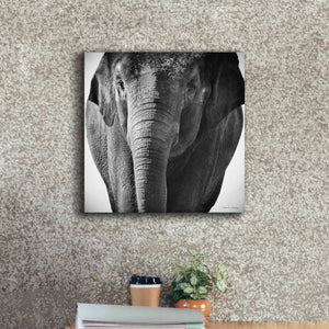 'Elephant I' by Debra Van Swearingen, Canvas Wall Art,18 x 18