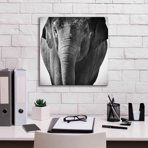 Image of 'Elephant I' by Debra Van Swearingen, Canvas Wall Art,18 x 18