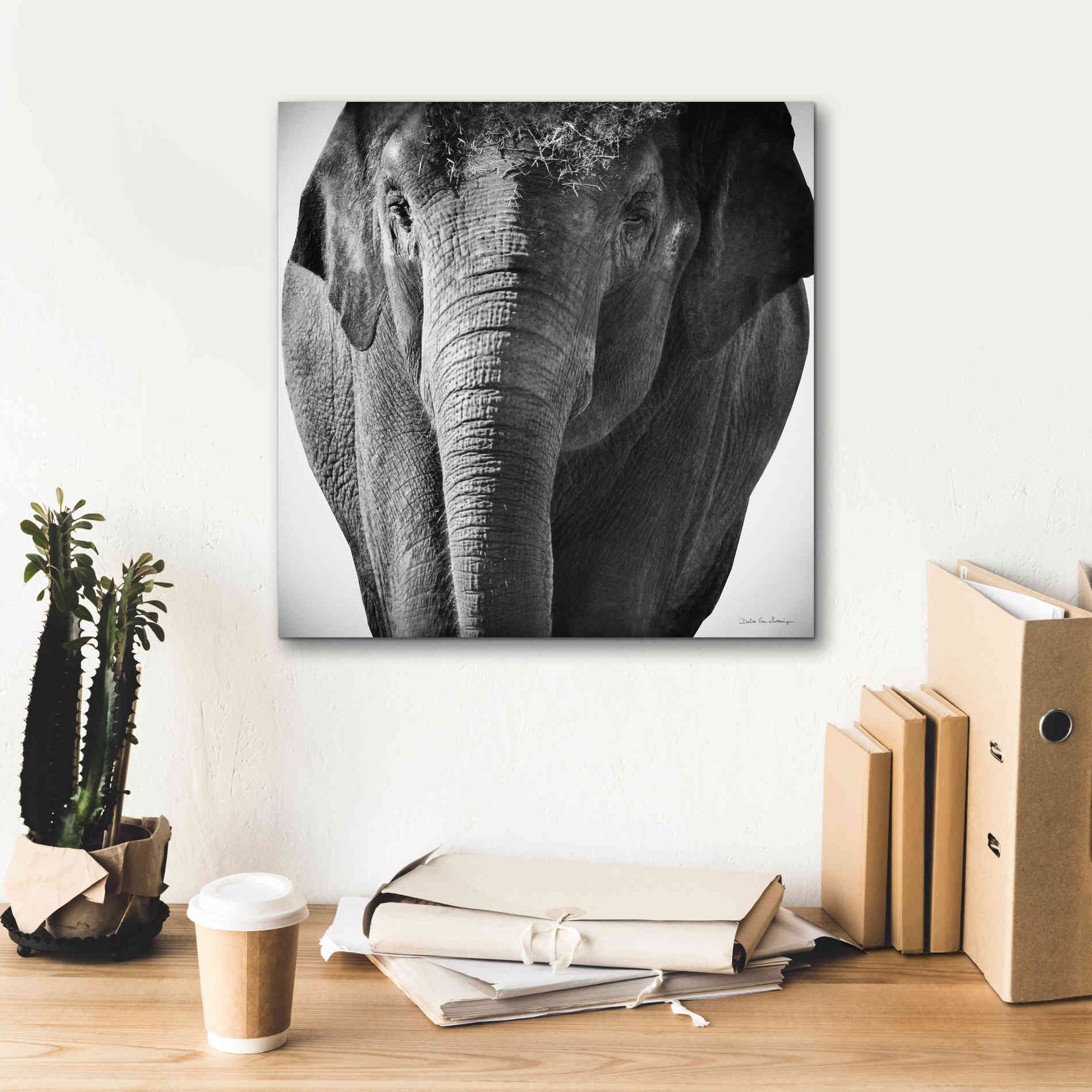 'Elephant I' by Debra Van Swearingen, Canvas Wall Art,18 x 18