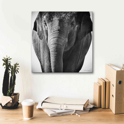 Image of 'Elephant I' by Debra Van Swearingen, Canvas Wall Art,18 x 18