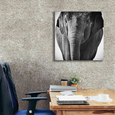 Image of 'Elephant I' by Debra Van Swearingen, Canvas Wall Art,26 x 26
