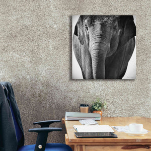 'Elephant I' by Debra Van Swearingen, Canvas Wall Art,26 x 26