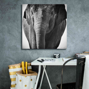 'Elephant I' by Debra Van Swearingen, Canvas Wall Art,26 x 26