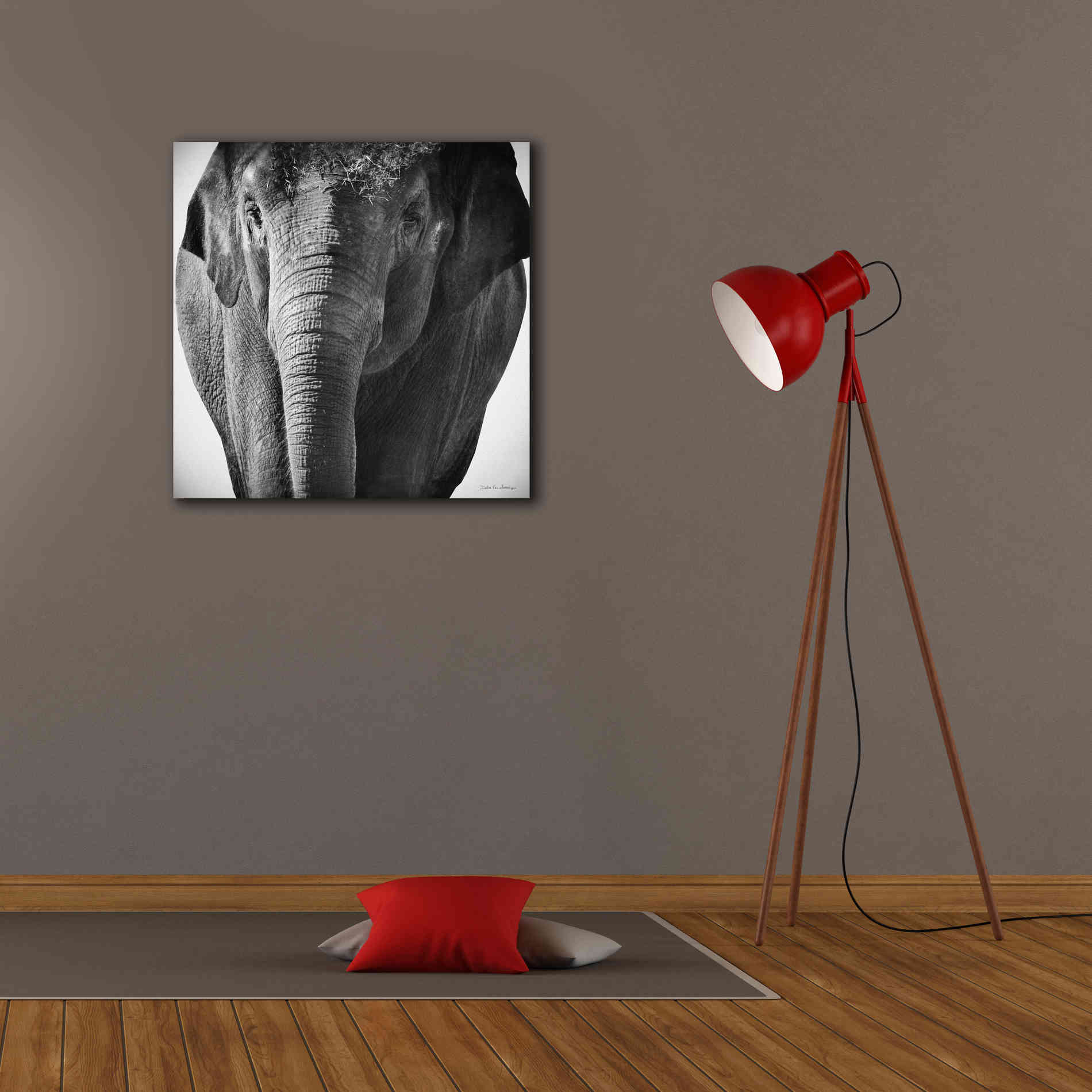 'Elephant I' by Debra Van Swearingen, Canvas Wall Art,26 x 26