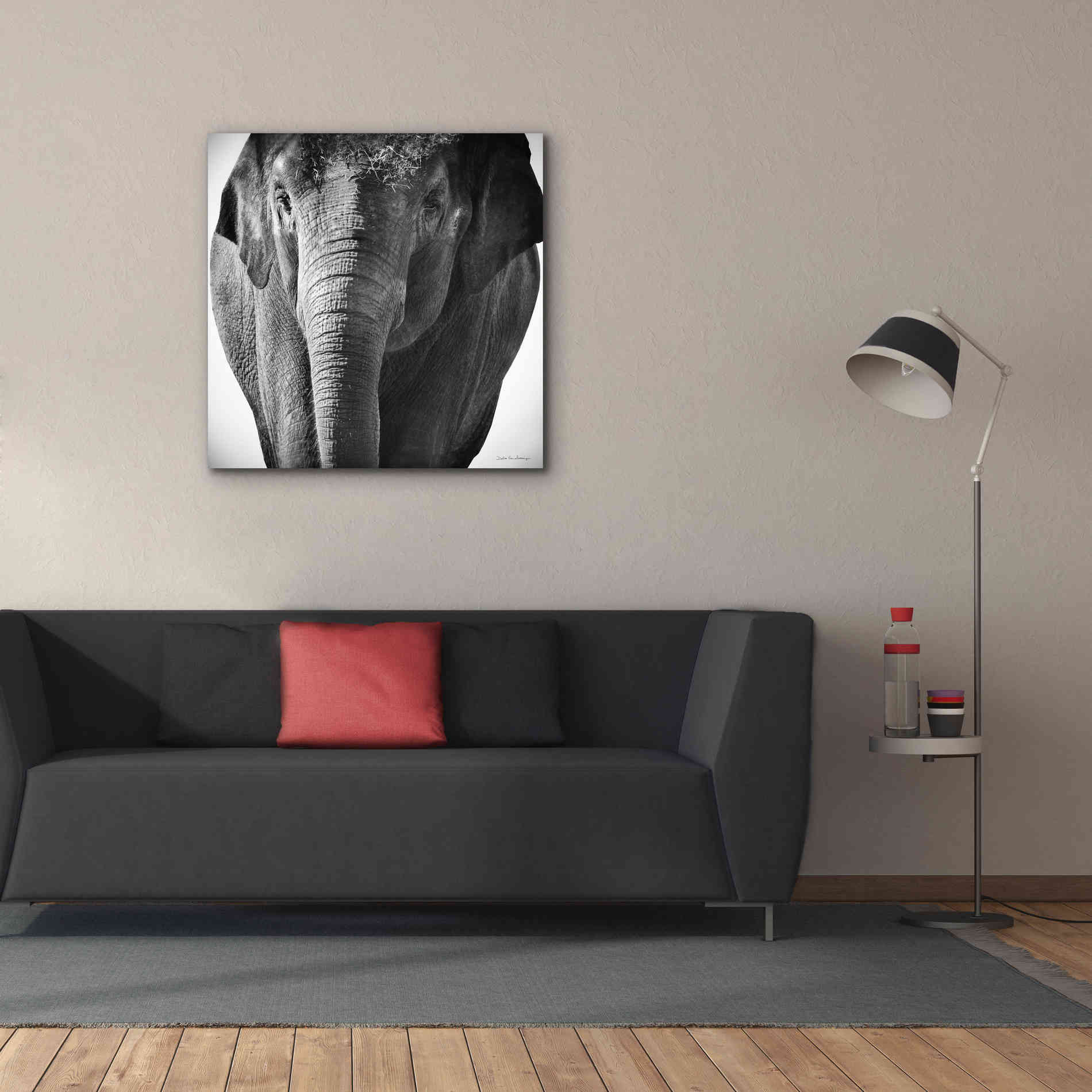 'Elephant I' by Debra Van Swearingen, Canvas Wall Art,37 x 37