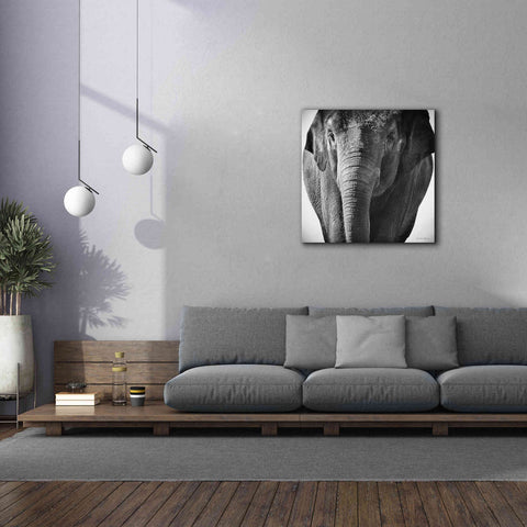 Image of 'Elephant I' by Debra Van Swearingen, Canvas Wall Art,37 x 37