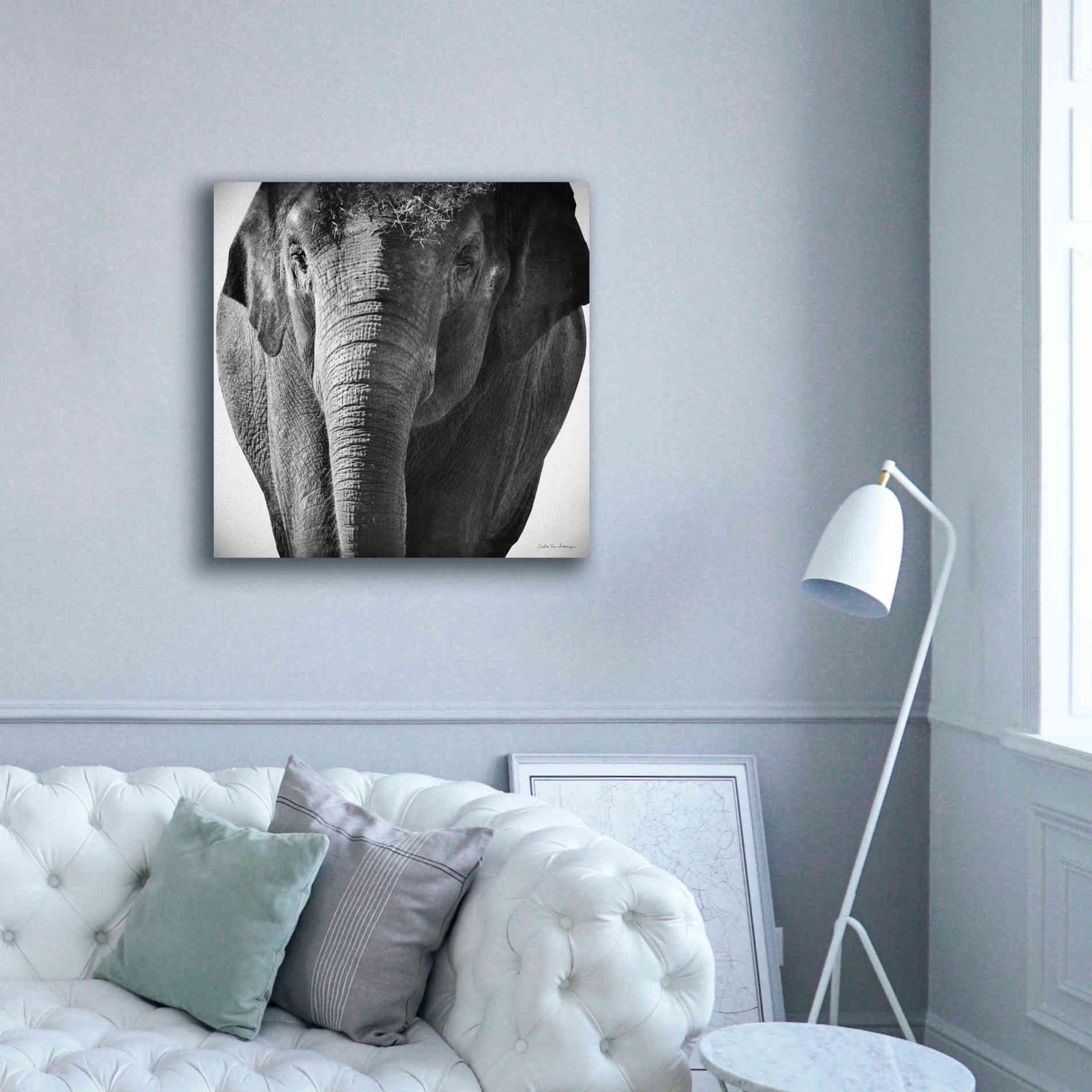 'Elephant I' by Debra Van Swearingen, Canvas Wall Art,37 x 37