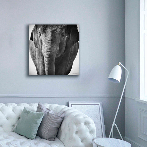 Image of 'Elephant I' by Debra Van Swearingen, Canvas Wall Art,37 x 37