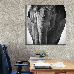 'Elephant I' by Debra Van Swearingen, Canvas Wall Art,37 x 37