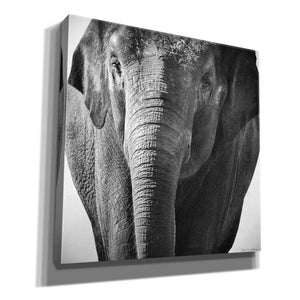 'Elephant I' by Debra Van Swearingen, Canvas Wall Art,12x12x1.1x0,18x18x1.1x0,26x26x1.74x0,37x37x1.74x0