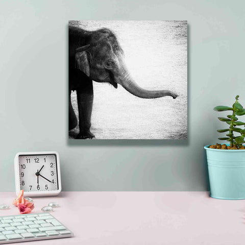 Image of 'Elephant II' by Debra Van Swearingen, Canvas Wall Art,12 x 12