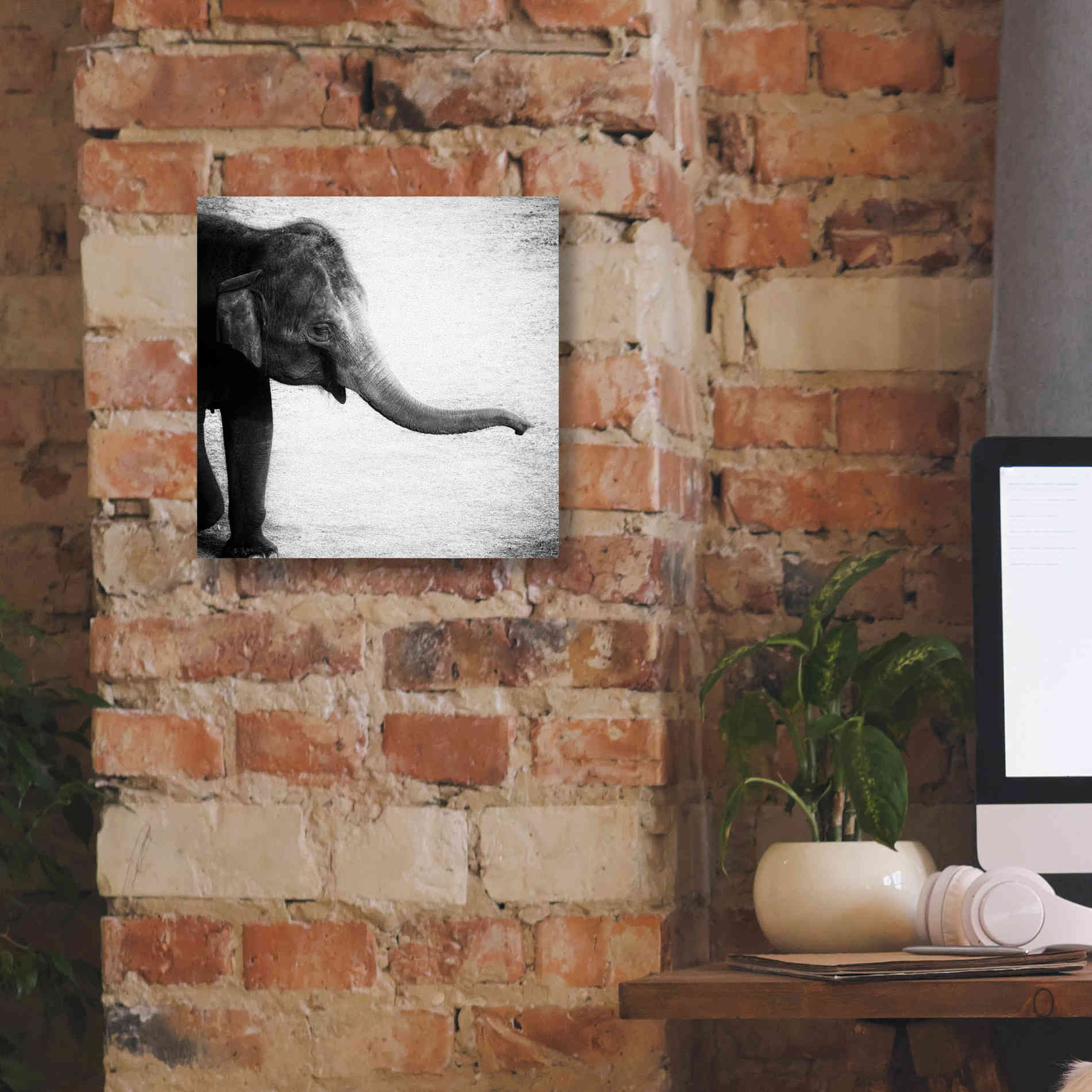 'Elephant II' by Debra Van Swearingen, Canvas Wall Art,12 x 12