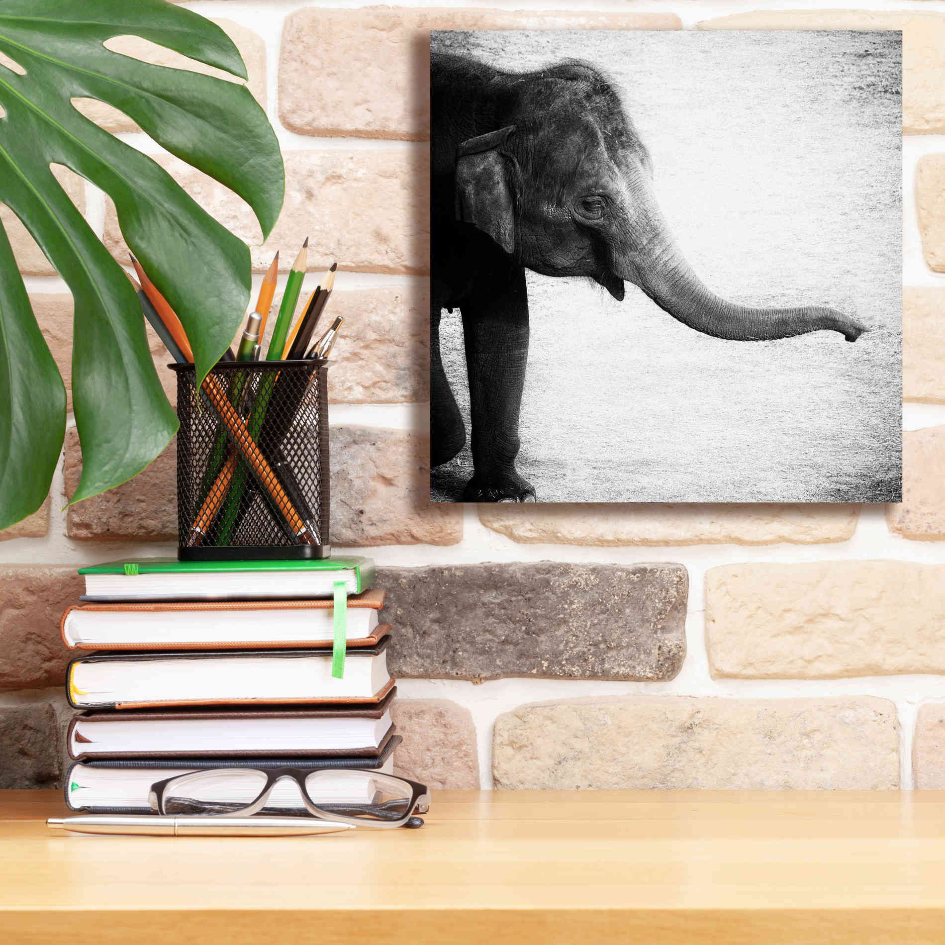 'Elephant II' by Debra Van Swearingen, Canvas Wall Art,12 x 12