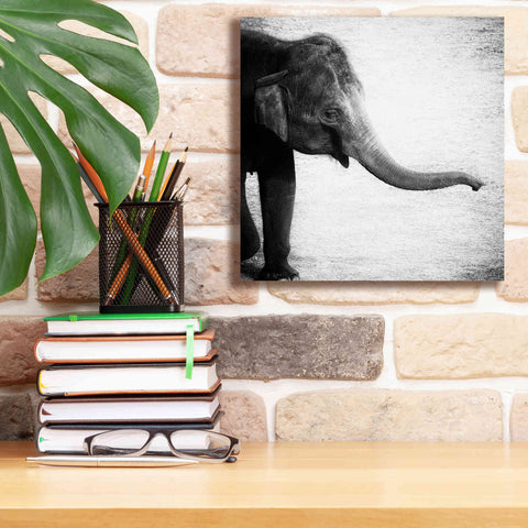 Image of 'Elephant II' by Debra Van Swearingen, Canvas Wall Art,12 x 12