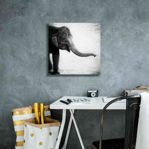 Image of 'Elephant II' by Debra Van Swearingen, Canvas Wall Art,18 x 18