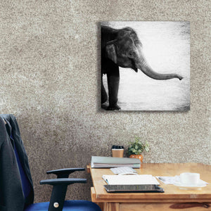 'Elephant II' by Debra Van Swearingen, Canvas Wall Art,26 x 26