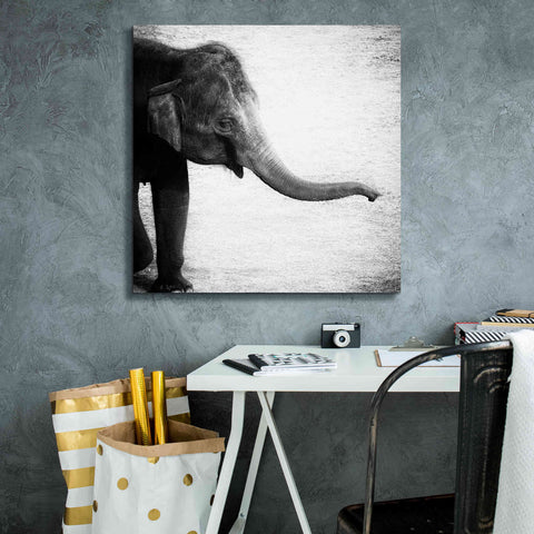 Image of 'Elephant II' by Debra Van Swearingen, Canvas Wall Art,26 x 26