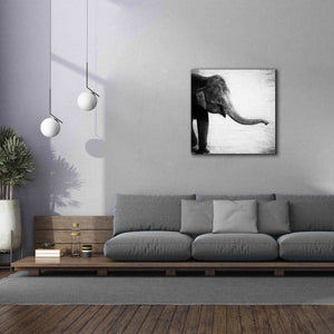 'Elephant II' by Debra Van Swearingen, Canvas Wall Art,37 x 37