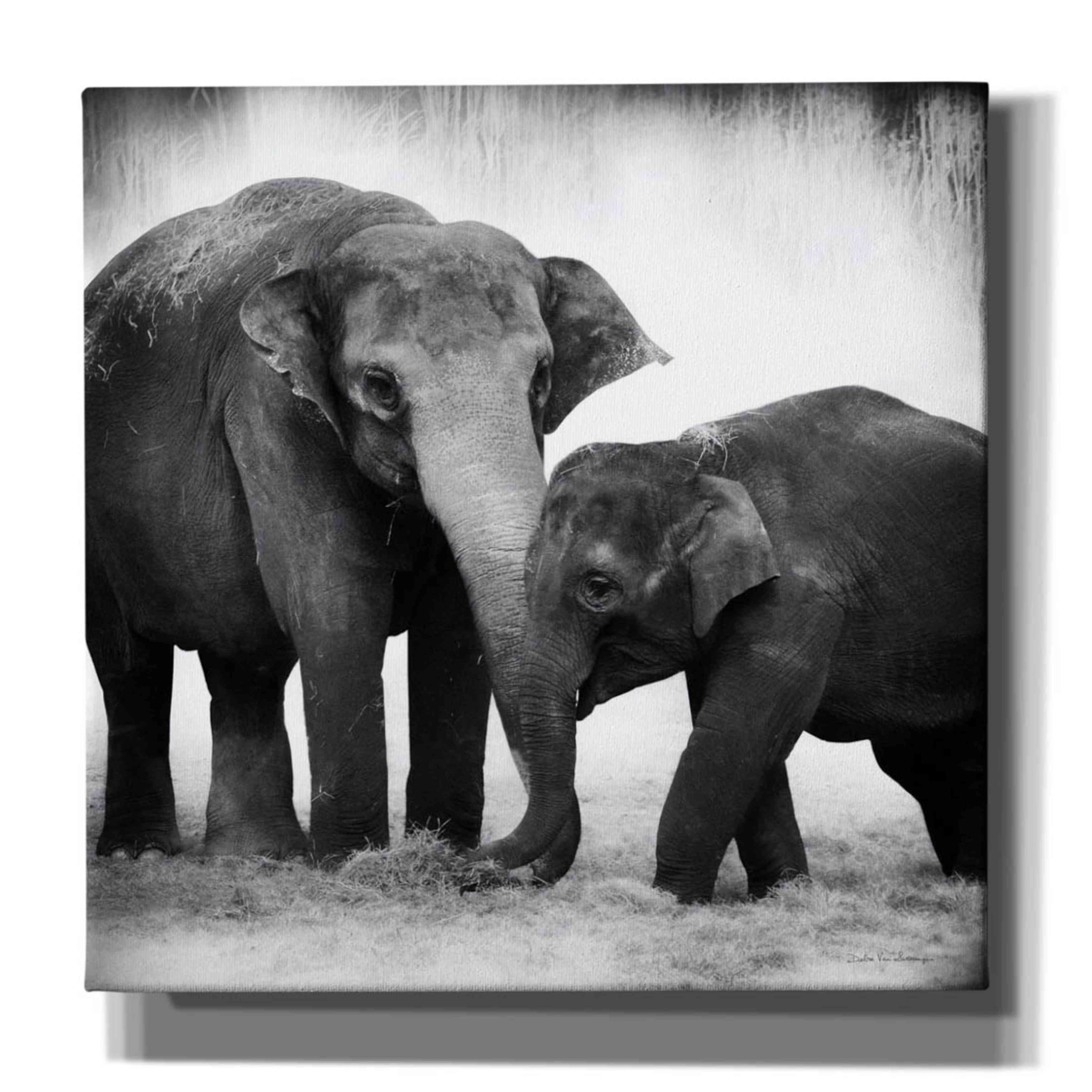 'Elephant III' by Debra Van Swearingen, Canvas Wall Art