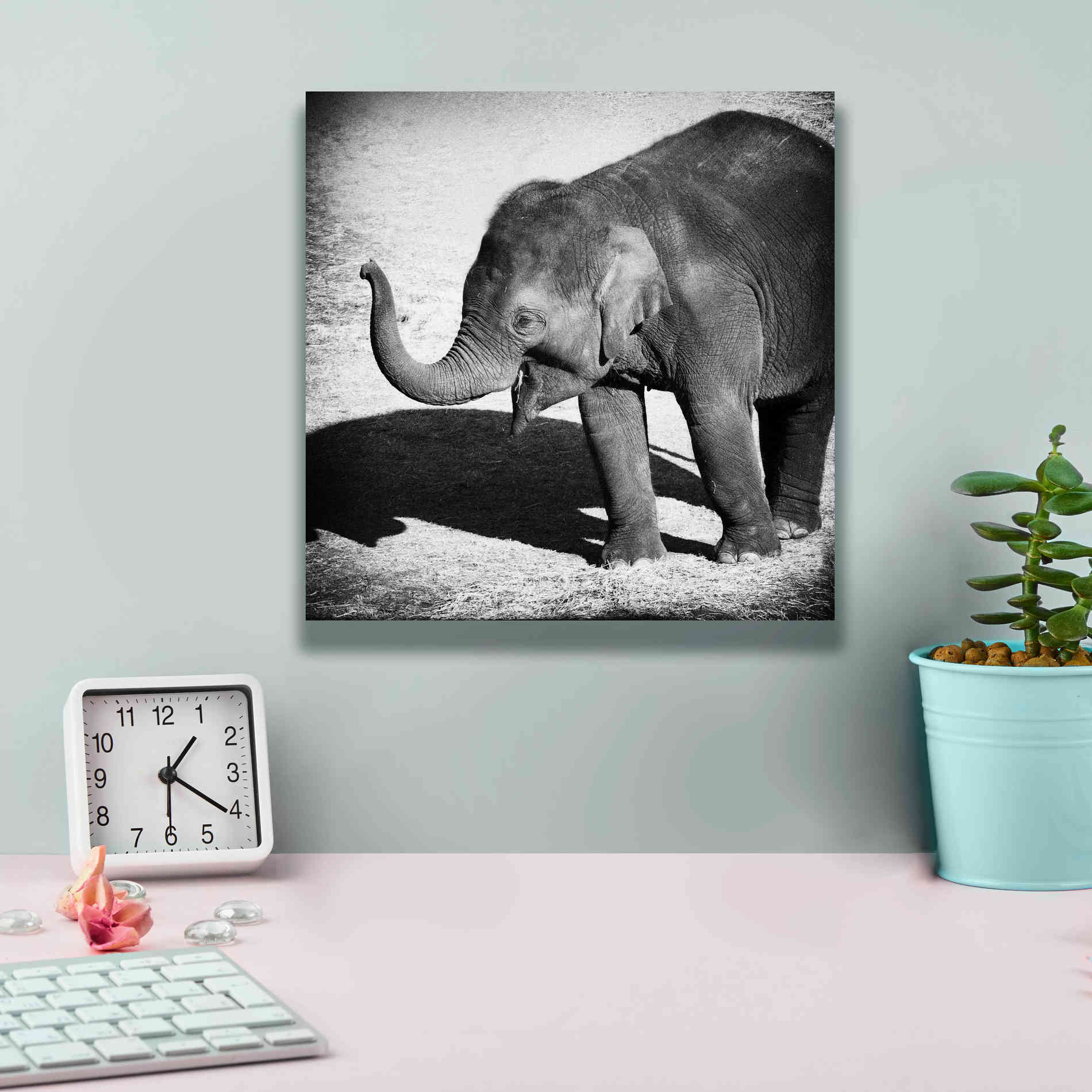 'Elephant IV' by Debra Van Swearingen, Canvas Wall Art,12 x 12