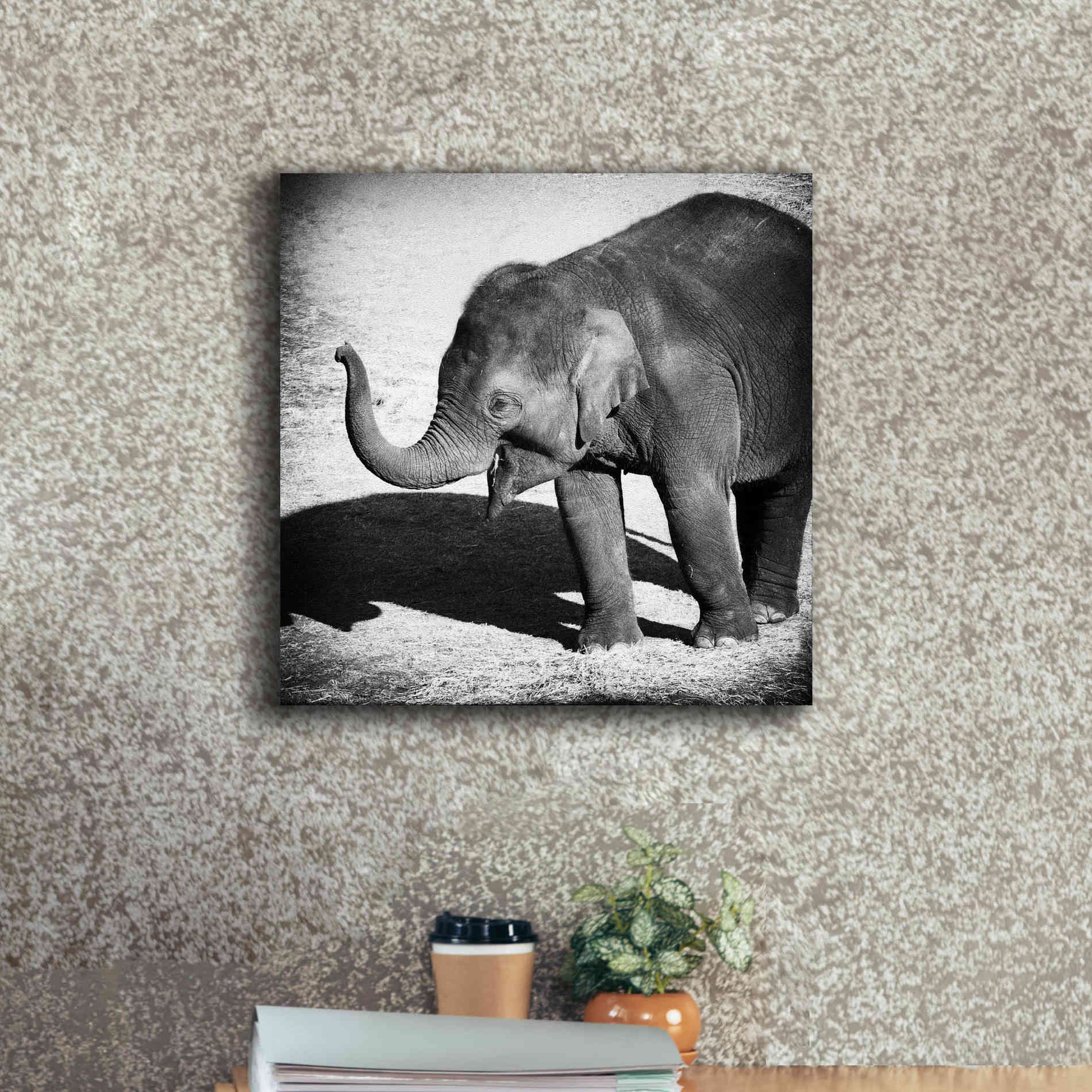 'Elephant IV' by Debra Van Swearingen, Canvas Wall Art,18 x 18