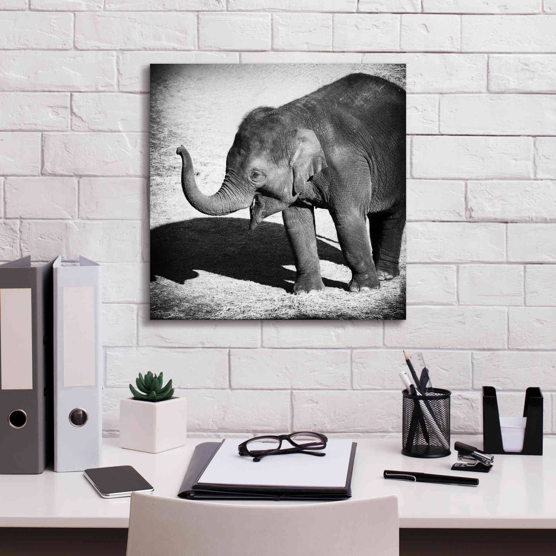 'Elephant IV' by Debra Van Swearingen, Canvas Wall Art,18 x 18