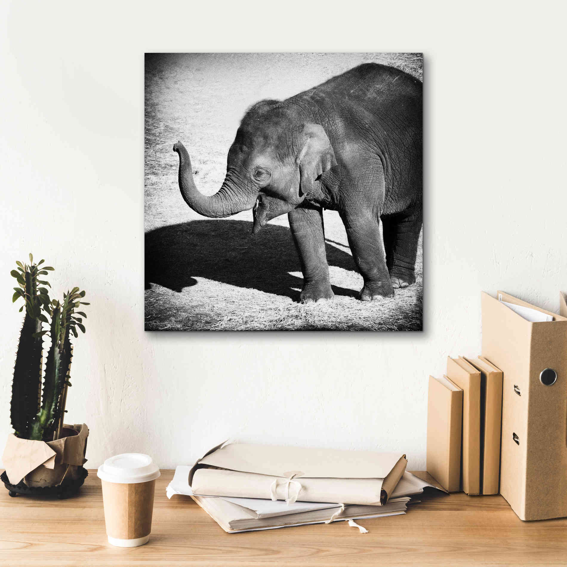 'Elephant IV' by Debra Van Swearingen, Canvas Wall Art,18 x 18