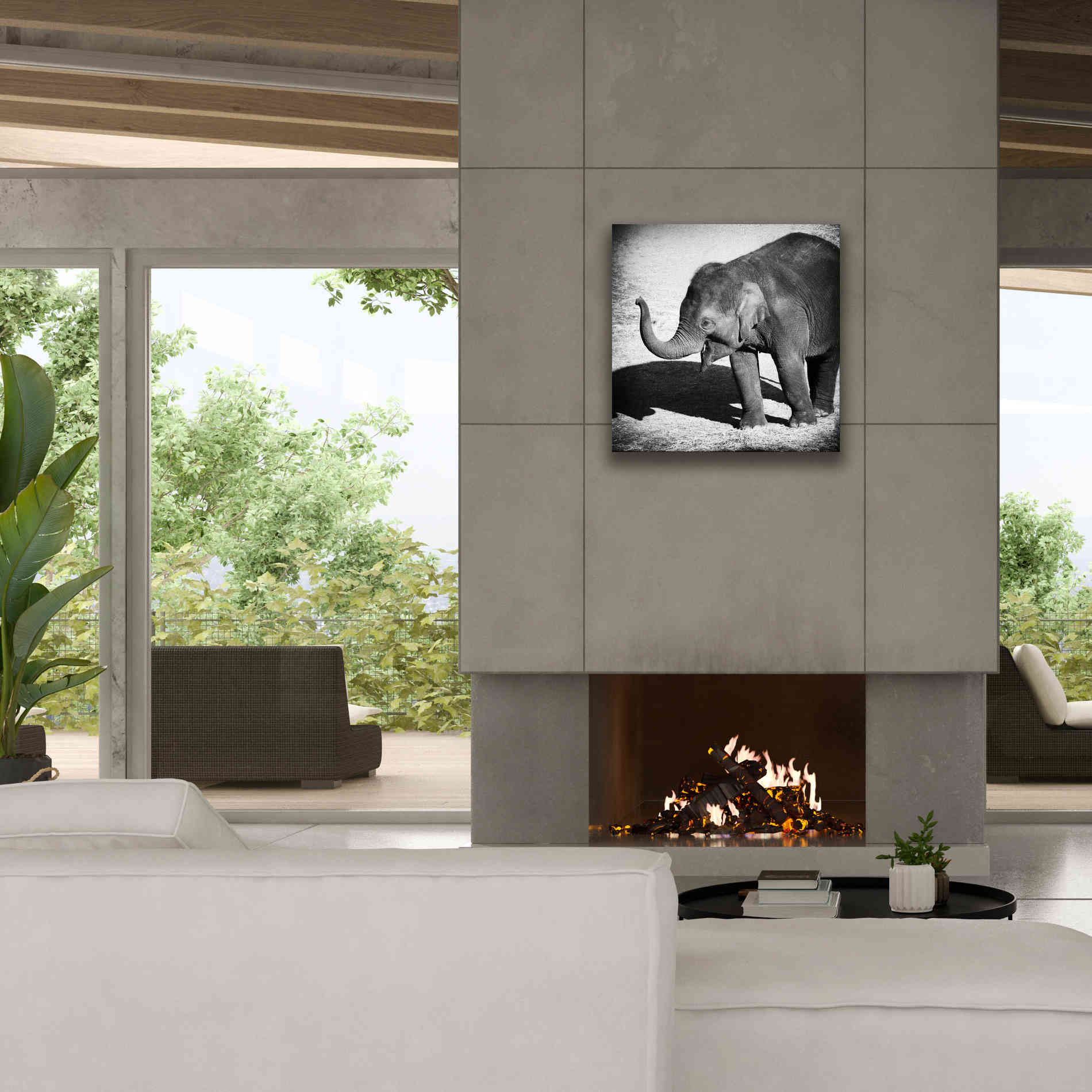 'Elephant IV' by Debra Van Swearingen, Canvas Wall Art,26 x 26