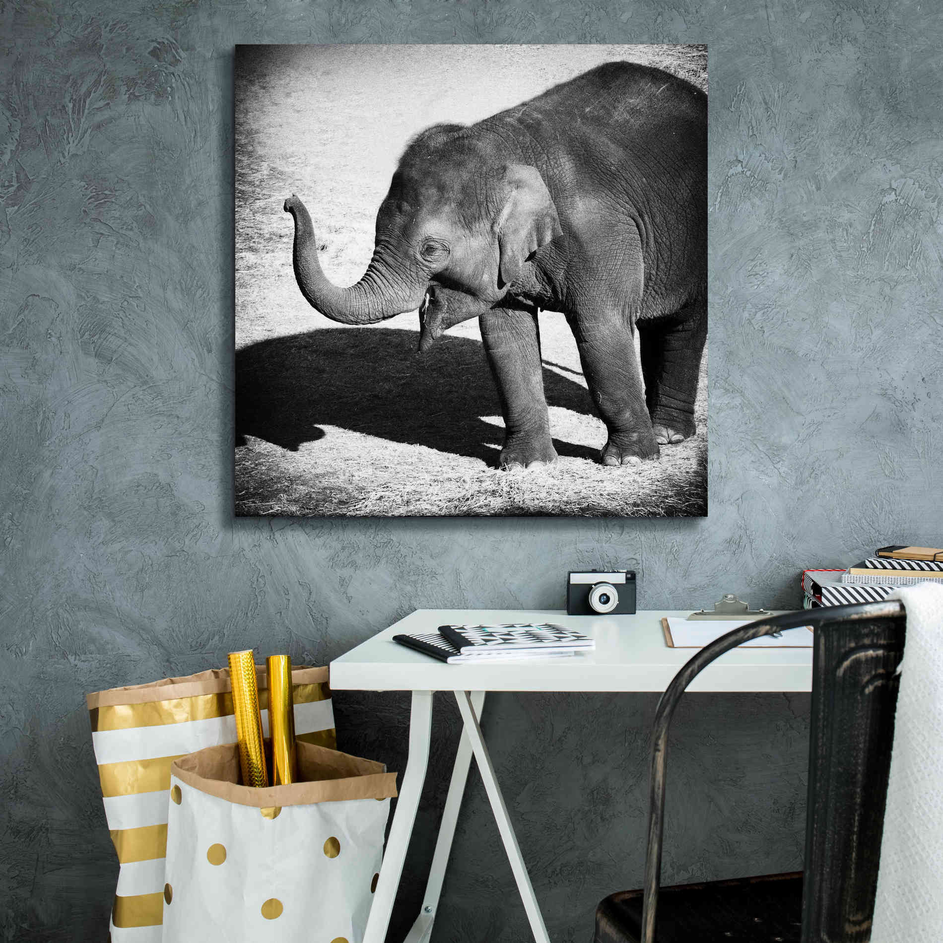 'Elephant IV' by Debra Van Swearingen, Canvas Wall Art,26 x 26