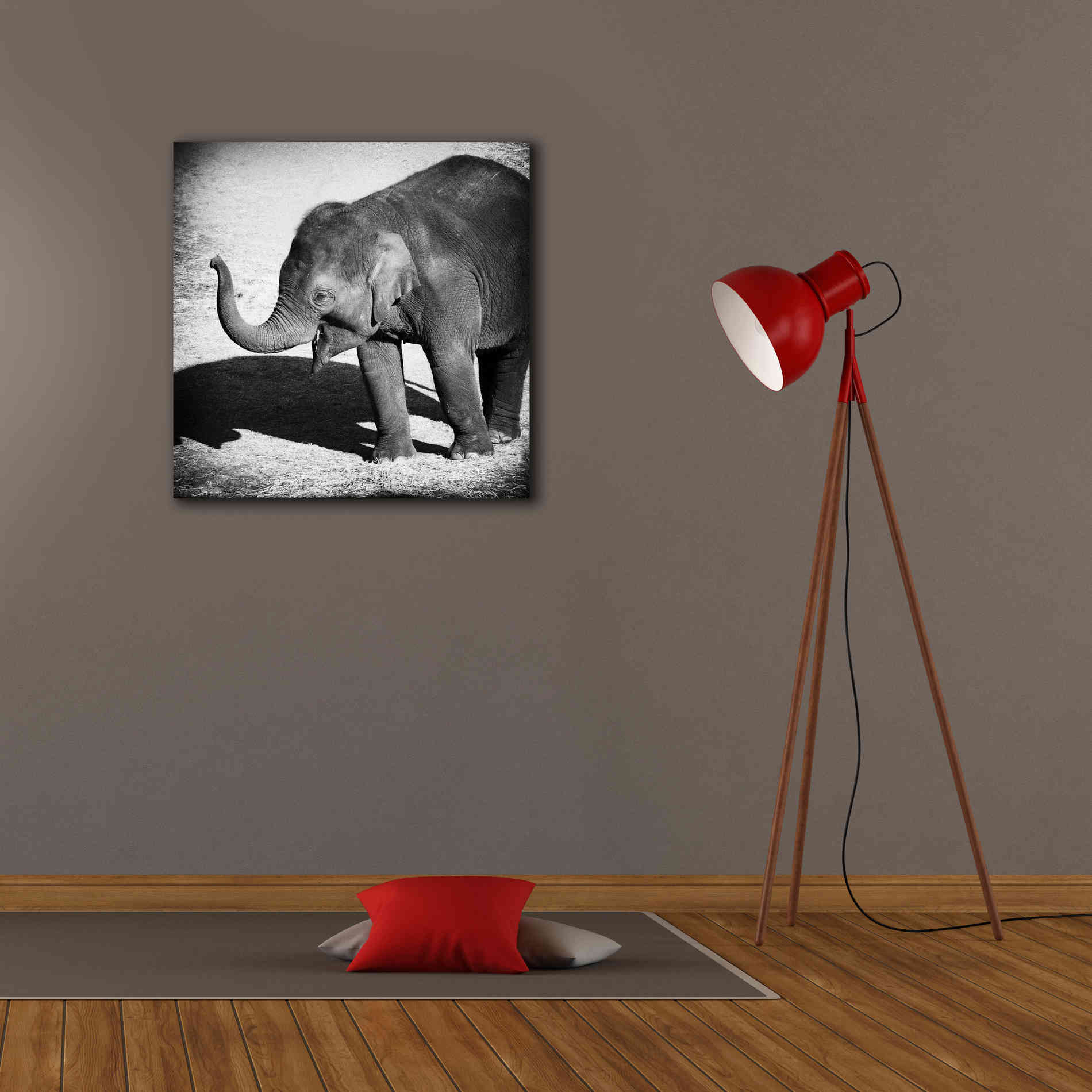 'Elephant IV' by Debra Van Swearingen, Canvas Wall Art,26 x 26