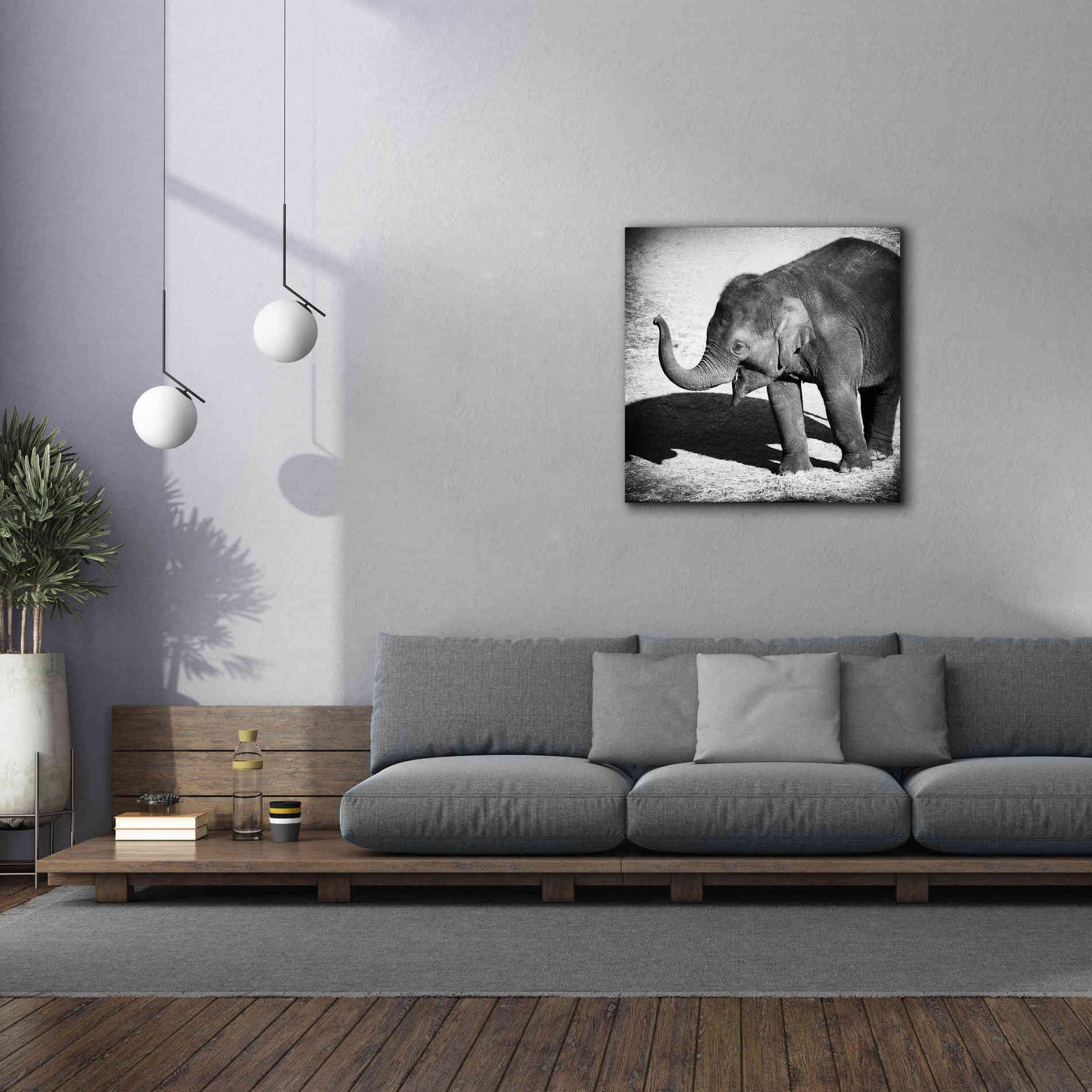 'Elephant IV' by Debra Van Swearingen, Canvas Wall Art,37 x 37