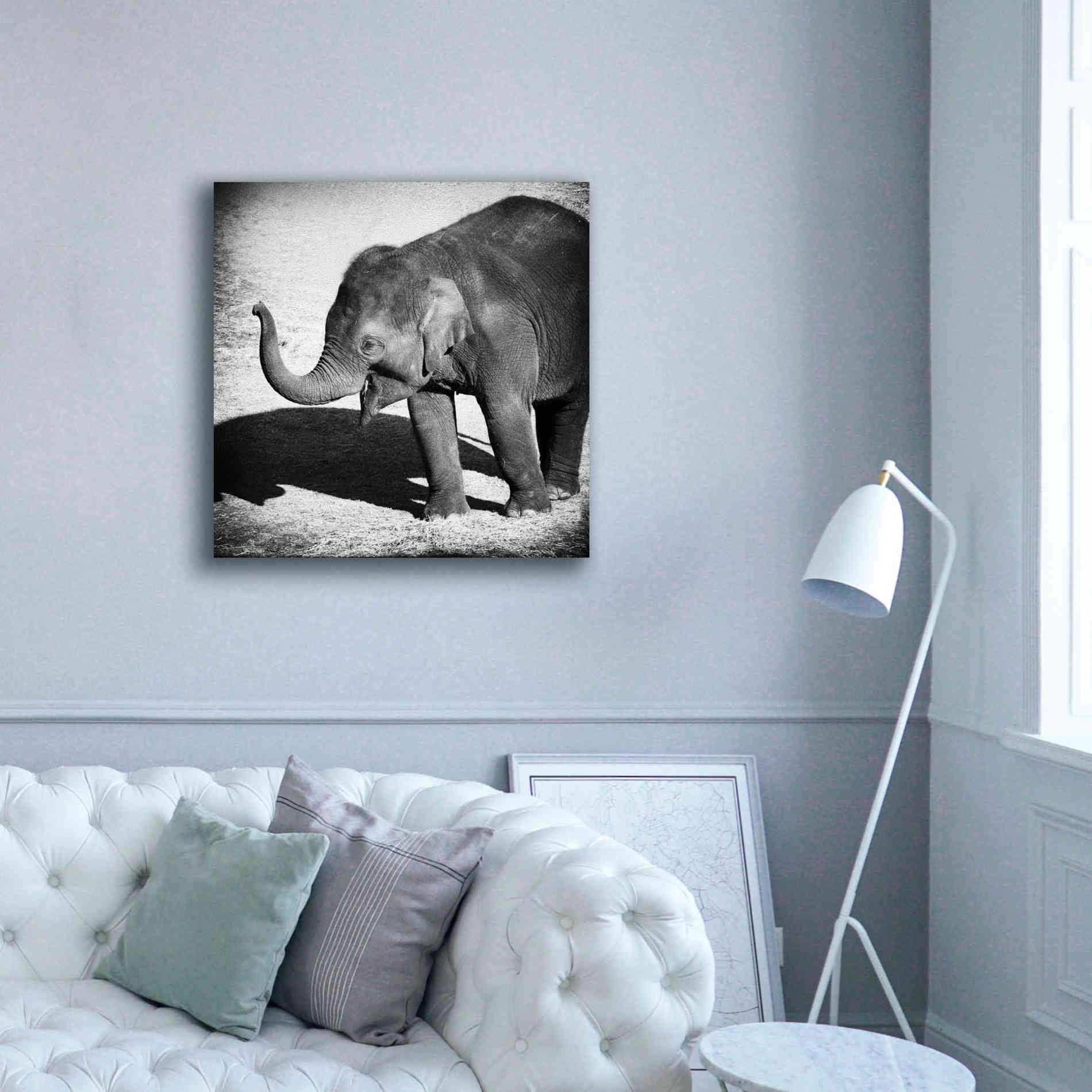 'Elephant IV' by Debra Van Swearingen, Canvas Wall Art,37 x 37