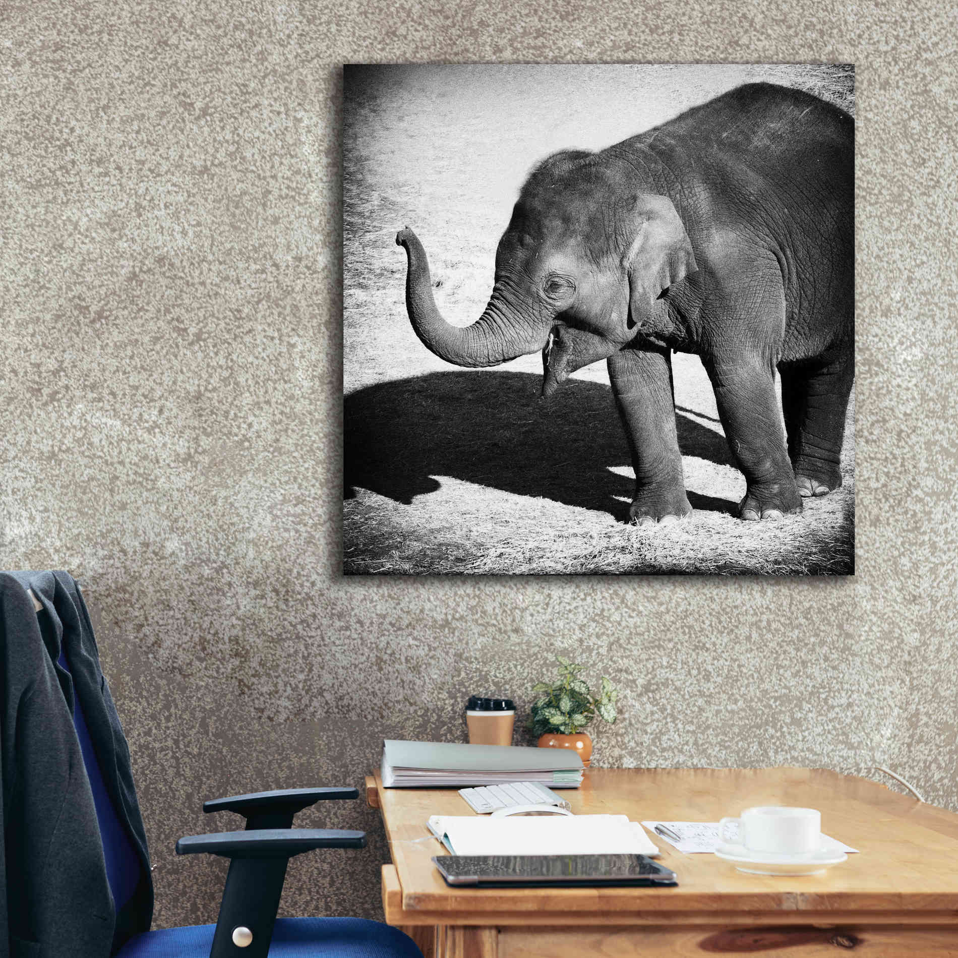 'Elephant IV' by Debra Van Swearingen, Canvas Wall Art,37 x 37