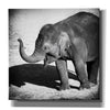 'Elephant IV' by Debra Van Swearingen, Canvas Wall Art,12x12x1.1x0,18x18x1.1x0,26x26x1.74x0,37x37x1.74x0