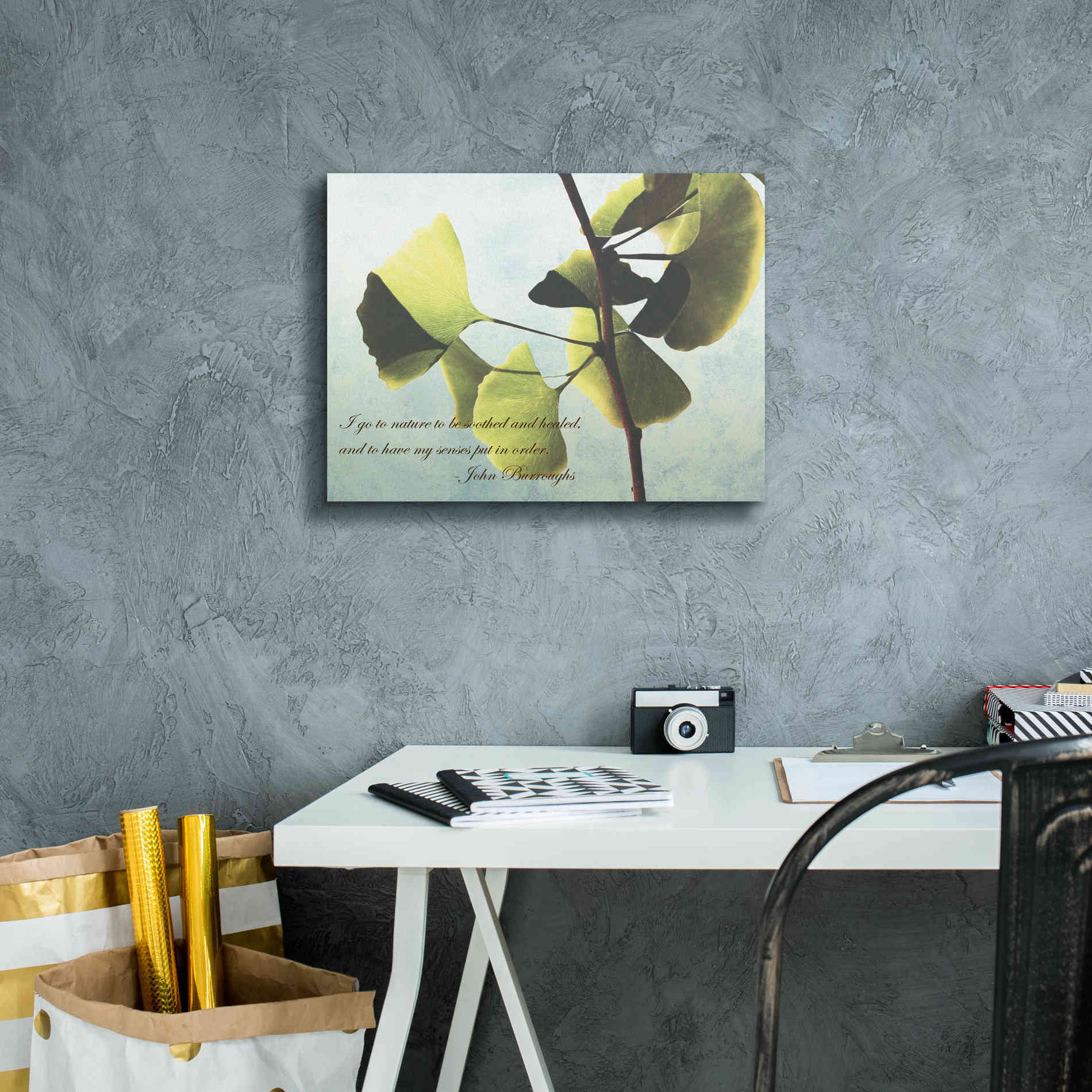 'Delicate Ginkgo' by Debra Van Swearingen, Canvas Wall Art,16 x 12