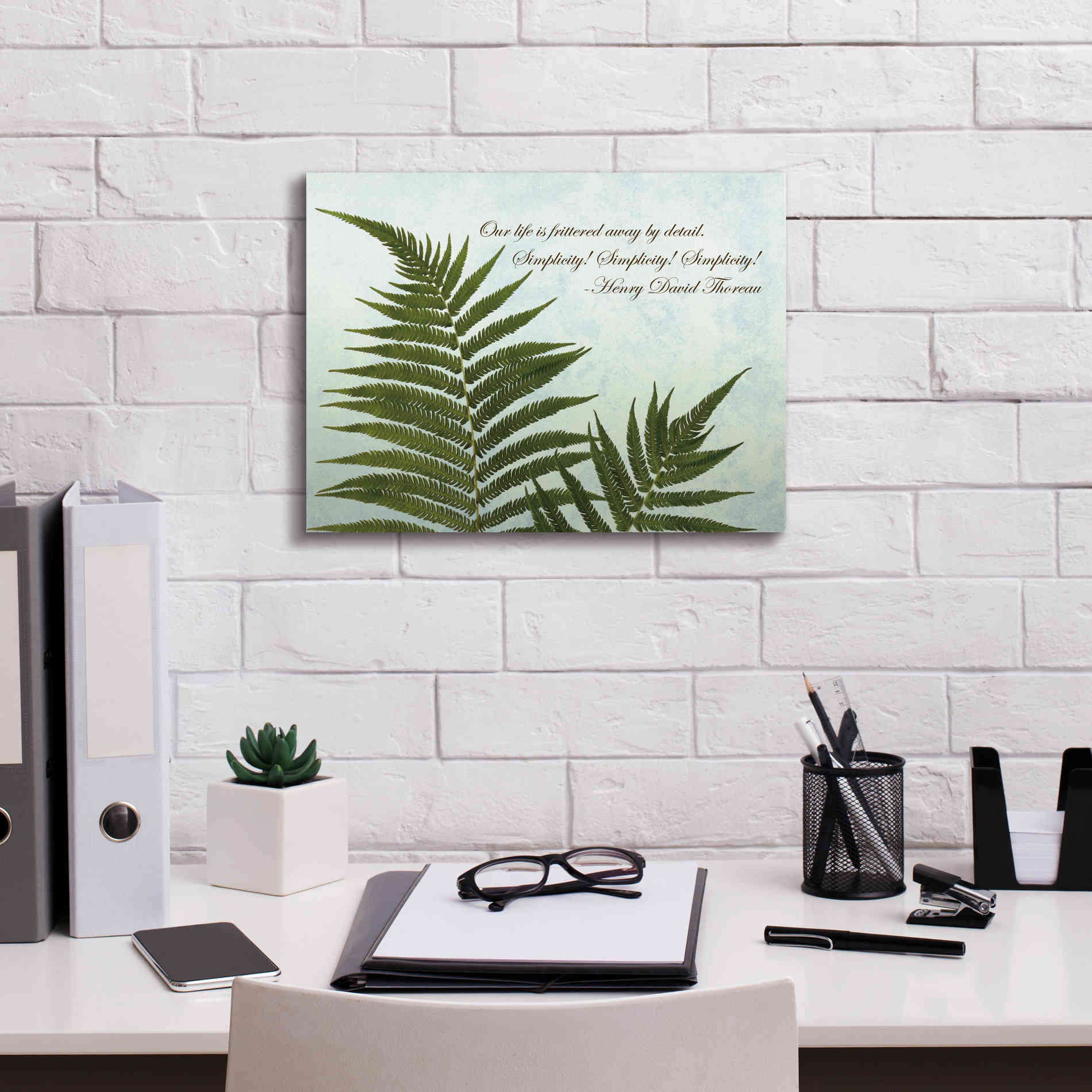 'Delicate Fern' by Debra Van Swearingen, Canvas Wall Art,16 x 12