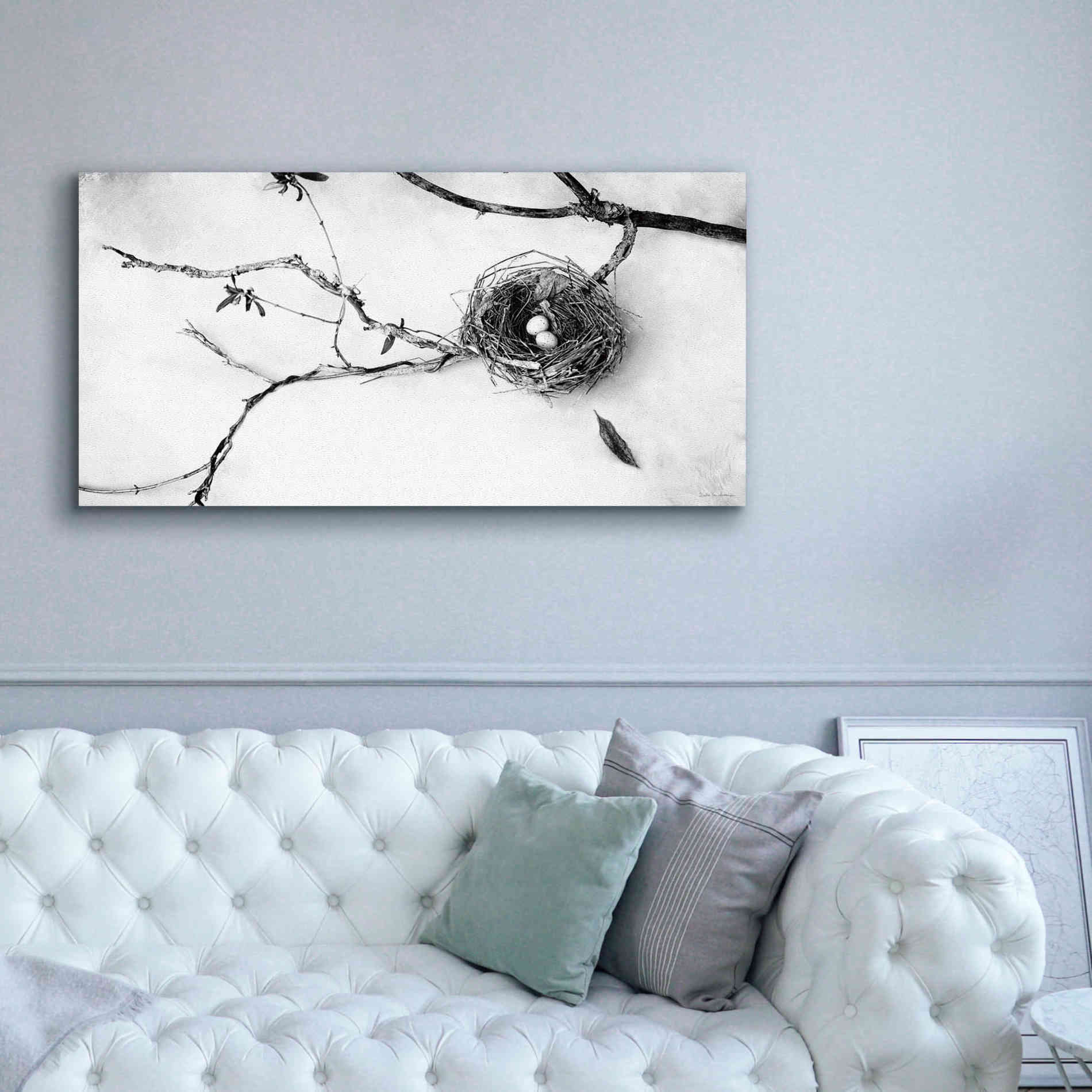 'Nest and Branch II' by Debra Van Swearingen, Canvas Wall Art,60 x 30