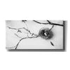 'Nest and Branch II' by Debra Van Swearingen, Canvas Wall Art,24x12x1.1x0,40x20x1.74x0,60x30x1.74x0
