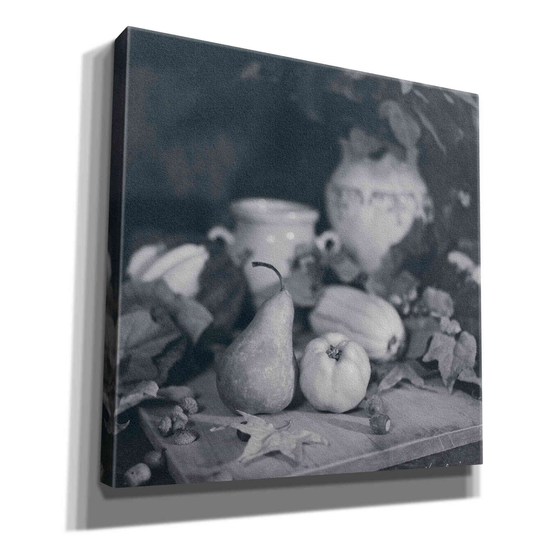 'Quince Pear' by Debra Van Swearingen, Canvas Wall Art,12x12x1.1x0,18x18x1.1x0,26x26x1.74x0,37x37x1.74x0