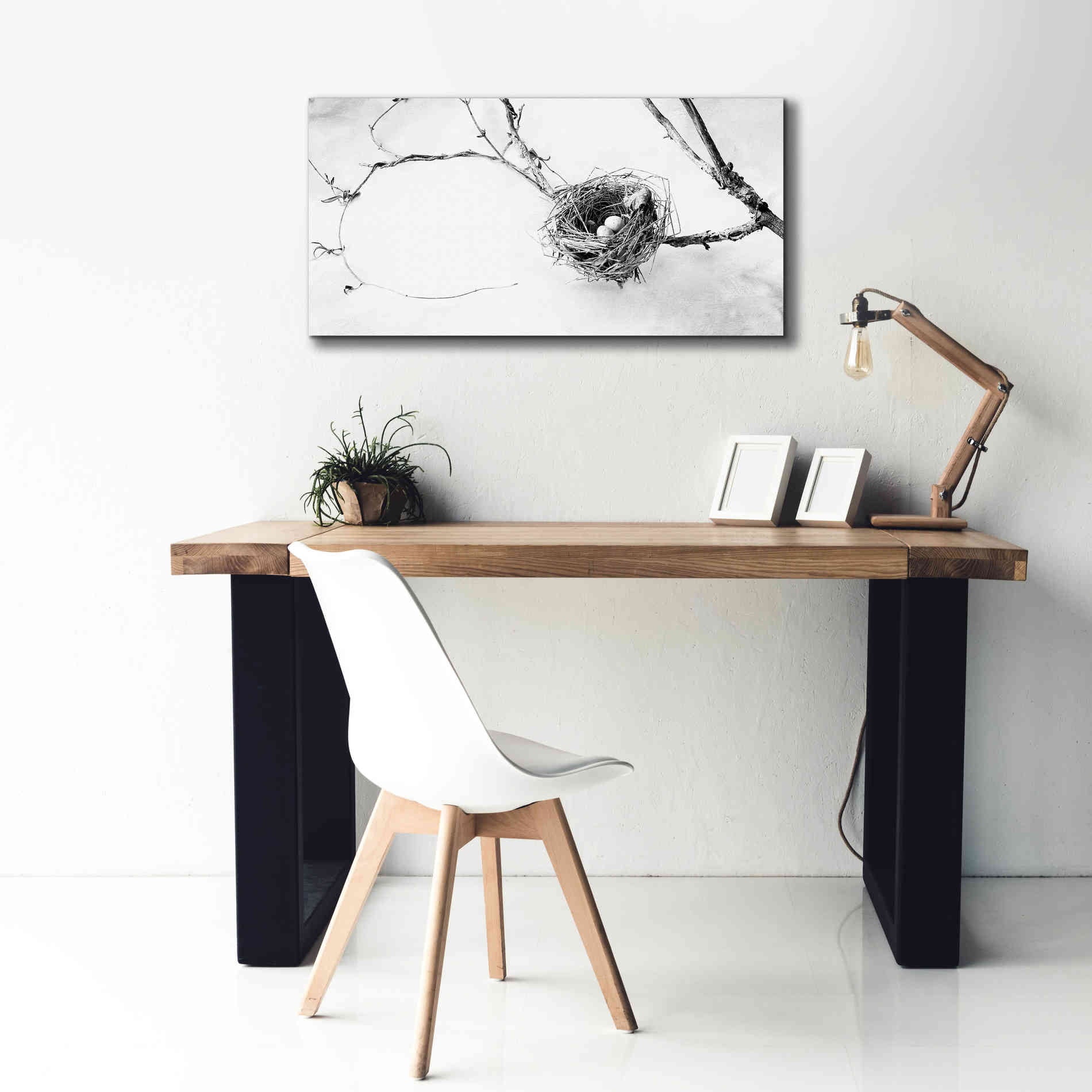 'Nest and Branch III' by Debra Van Swearingen, Canvas Wall Art,40 x 20