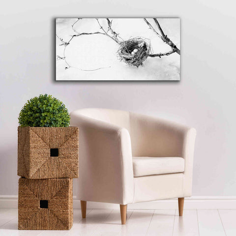 Image of 'Nest and Branch III' by Debra Van Swearingen, Canvas Wall Art,40 x 20