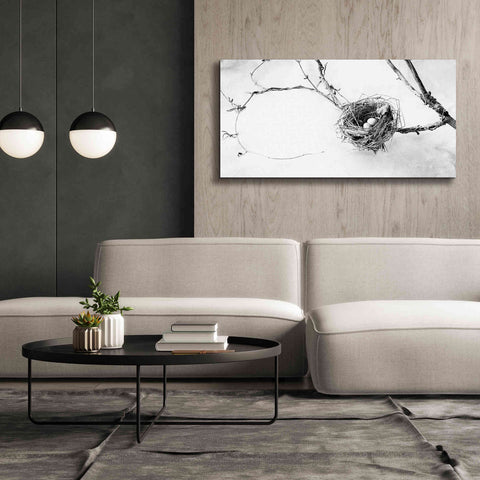 Image of 'Nest and Branch III' by Debra Van Swearingen, Canvas Wall Art,60 x 30