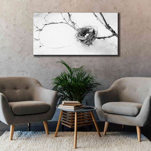 'Nest and Branch III' by Debra Van Swearingen, Canvas Wall Art,60 x 30